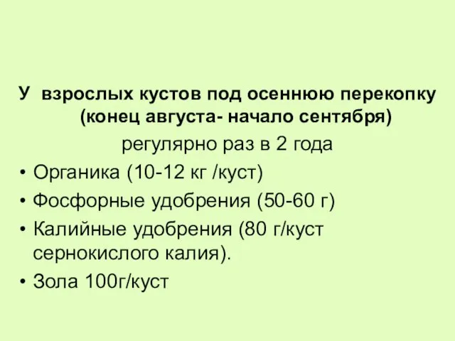 У взрослых кустов под осеннюю перекопку (конец августа- начало сентября) регулярно