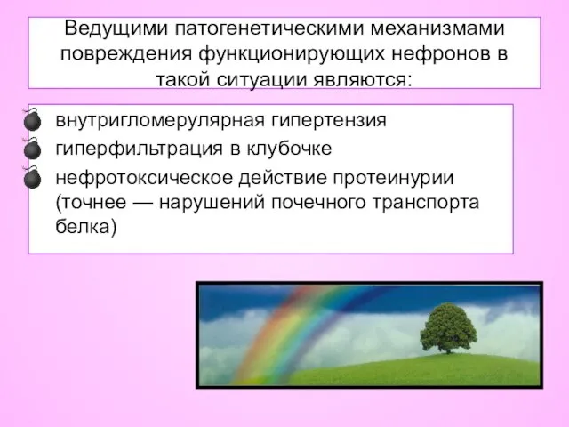 Ведущими патогенетическими механизмами повреждения функционирующих нефронов в такой ситуации являются: внутригломерулярная