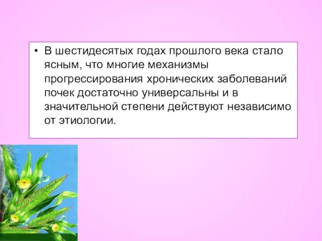 В шестидесятых годах прошлого века стало ясным, что многие механизмы прогрессирования