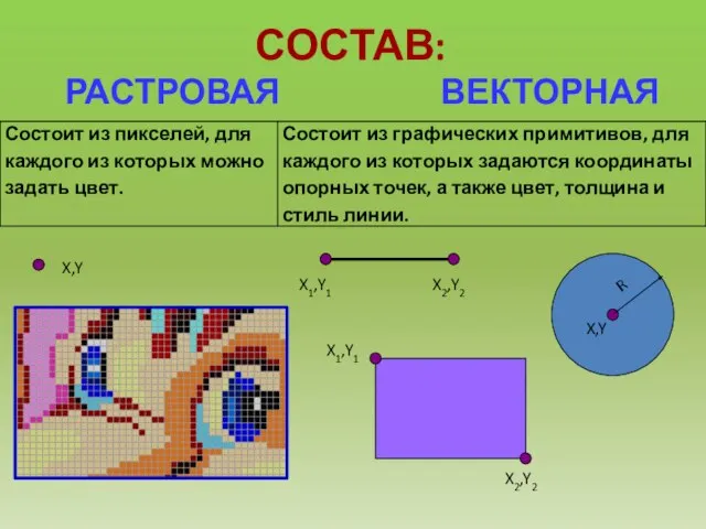 СОСТАВ: РАСТРОВАЯ ВЕКТОРНАЯ