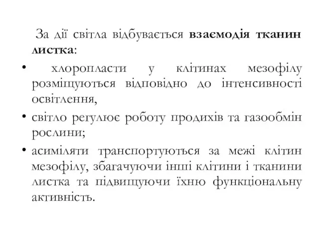 За дії світла відбувається взаємодія тканин листка: хлоропласти у клітинах мезофілу