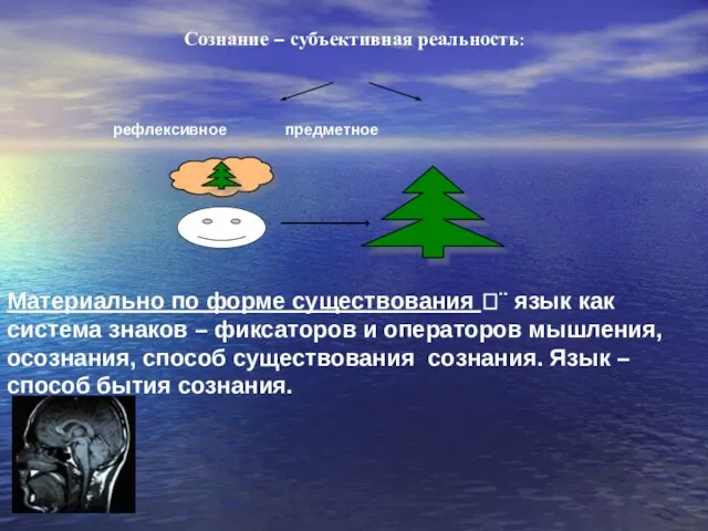 Сознание – субъективная реальность: рефлексивное предметное Материально по форме существования ¨