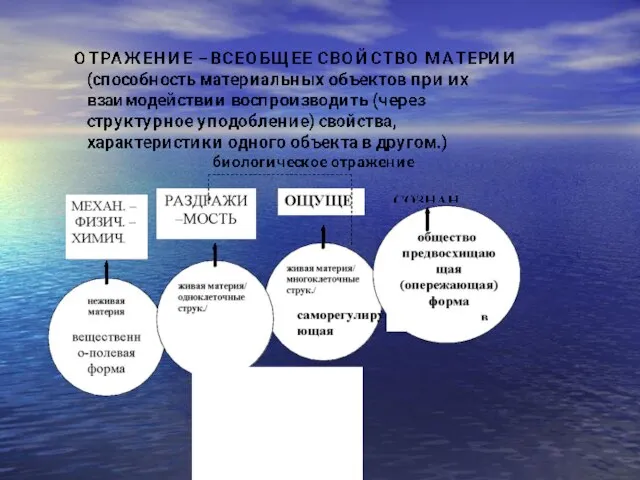 энергетическо-информационная дистанционная форма отражения