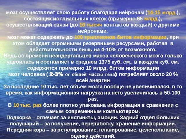 мозг осуществляет свою работу благодаря нейронам (14-15 млрд.), состоящих из глиальных