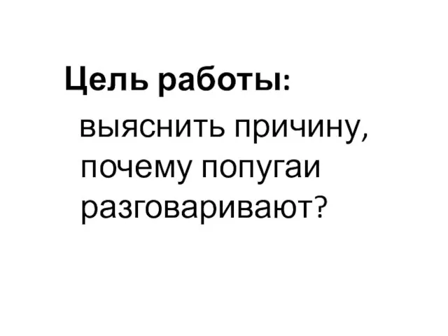 Цель работы: выяснить причину, почему попугаи разговаривают?