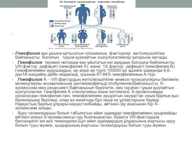 Гемофилия қан ұюына қатысатын плазмалық факторлар жетіспеушілігіне байланысты болатын, тұқым қуалайтын