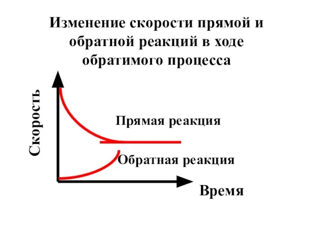 Изменение скорости прямой и обратной реакций в ходе обратимого процесса Время Скорость Прямая реакция Обратная реакция