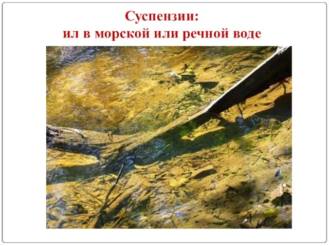 Суспензии: ил в морской или речной воде