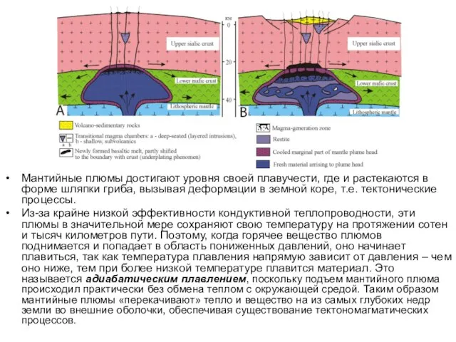 Мантийные плюмы достигают уровня своей плавучести, где и растекаются в форме