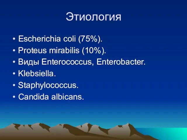 Этиология Escherichia coli (75%). Proteus mirabilis (10%). Виды Enterococcus, Enterobacter. Klebsiella. Staphylococcus. Candida albicans.