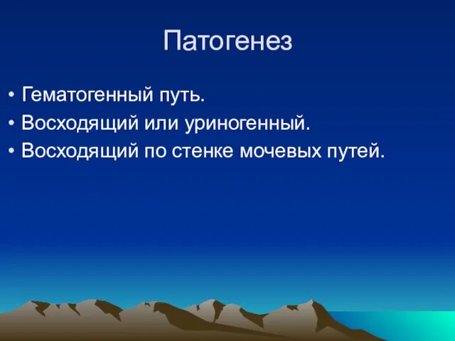 Патогенез Гематогенный путь. Восходящий или уриногенный. Восходящий по стенке мочевых путей.