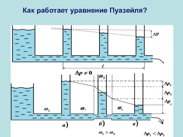 Как работает уравнение Пуазейля?