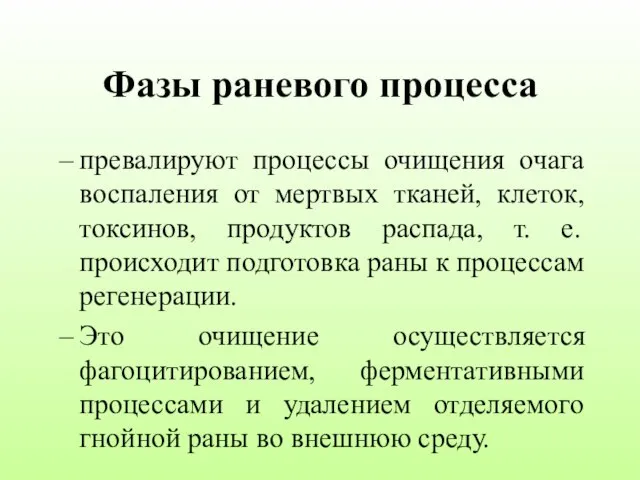 Фазы раневого процесса превалируют процессы очищения очага воспаления от мертвых тканей,