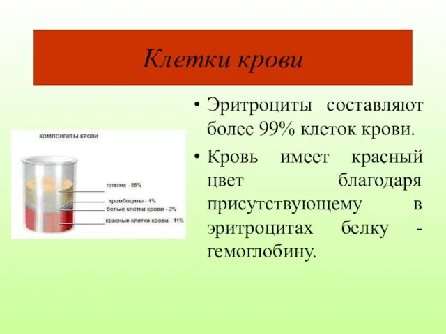 Клетки крови Эритроциты составляют более 99% клеток крови. Кровь имеет красный