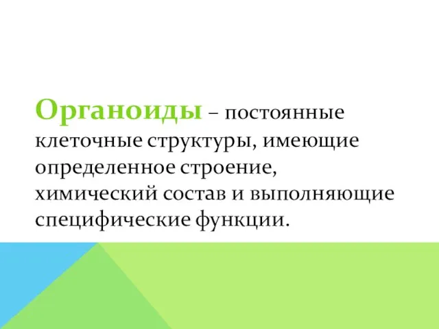 Органоиды – постоянные клеточные структуры, имеющие определенное строение, химический состав и выполняющие специфические функции.