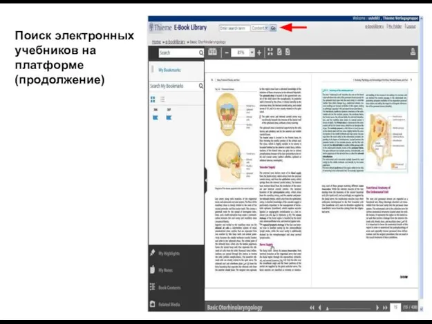 Поиск электронных учебников на платформе (продолжение)