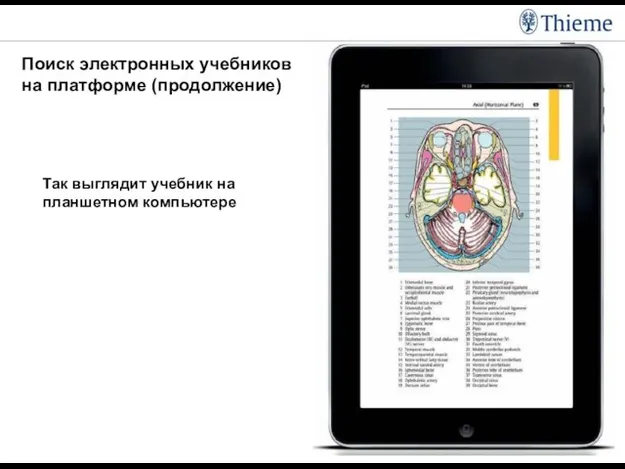 Поиск электронных учебников на платформе (продолжение) Так выглядит учебник на планшетном компьютере