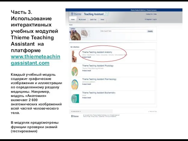 Часть 3. Использование интерактивных учебных модулей Thieme Teaching Assistant на платформе
