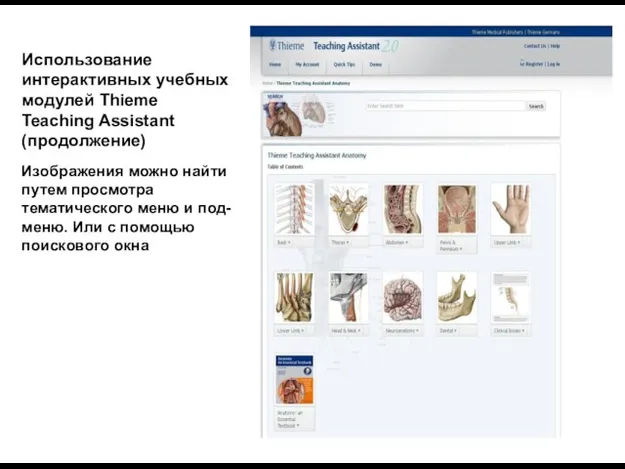 Использование интерактивных учебных модулей Thieme Teaching Assistant (продолжение) Изображения можно найти