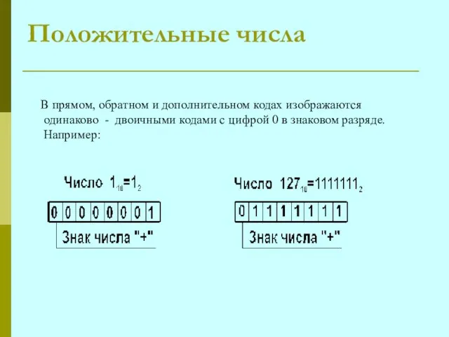 Положительные числа В прямом, обратном и дополнительном кодах изображаются одинаково -