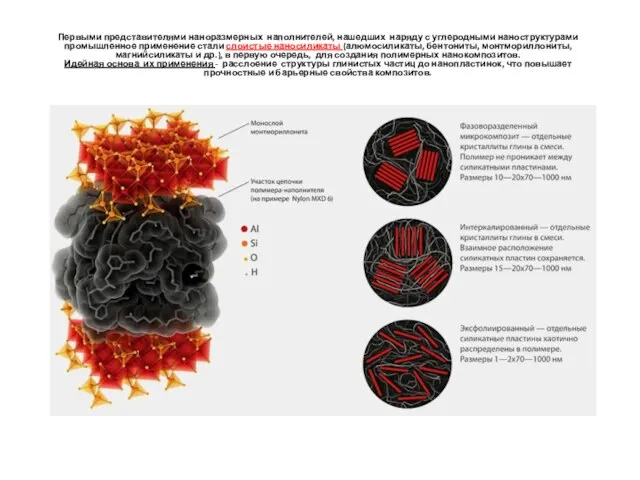 Первыми представителями наноразмерных наполнителей, нашедших наряду с углеродными наноструктурами промышленное применение