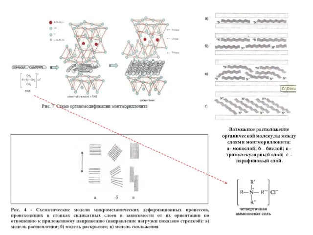 Возможное расположение органической молекулы между слоями монтмориллонита: а- монослой; б –