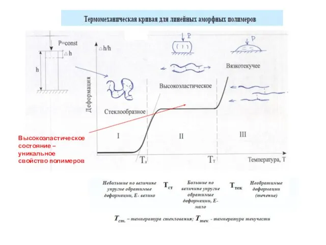 Высокоэластическое состояние – уникальное свойство полимеров