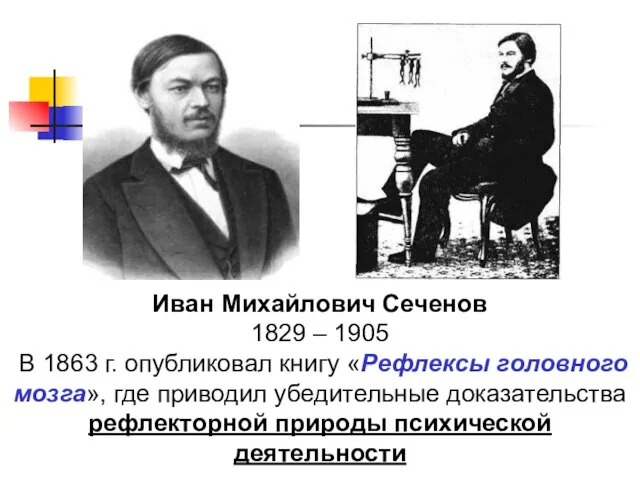 Иван Михайлович Сеченов 1829 – 1905 В 1863 г. опубликовал книгу