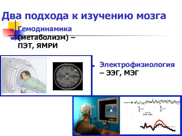 Два подхода к изучению мозга Гемодинамика (метаболизм) – ПЭТ, ЯМРИ Электрофизиология – ЭЭГ, МЭГ