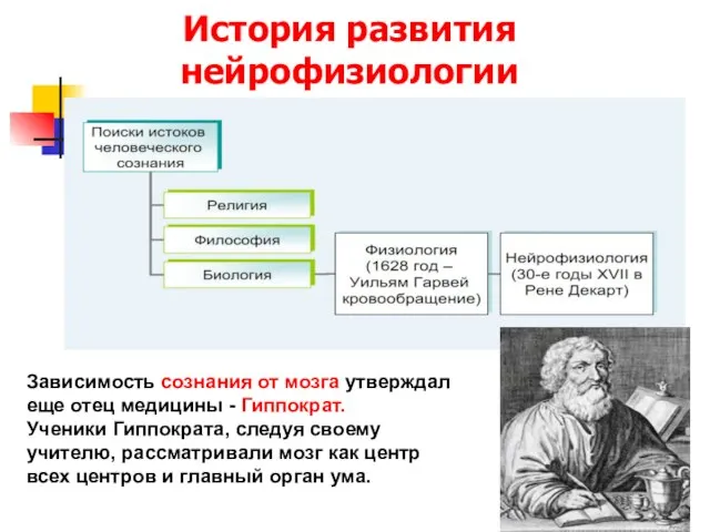 История развития нейрофизиологии Зависимость сознания от мозга утверждал еще отец медицины