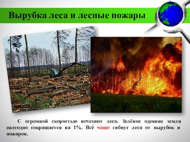 Вырубка леса и лесные пожары С огромной скоростью исчезают леса. Зелёное