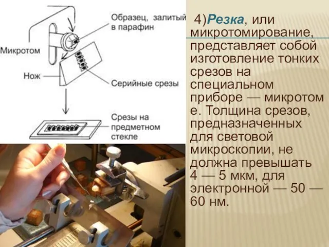 4)Резка, или микротомирование, представляет собой изготовление тонких срезов на специальном приборе