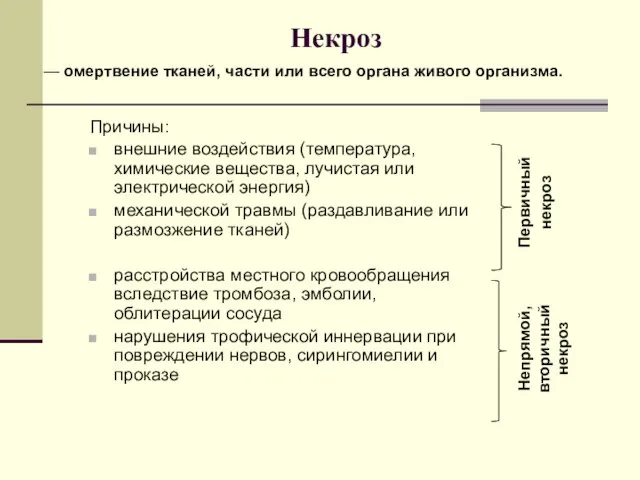 Некроз Причины: внешние воздействия (температура, химические вещества, лучистая или электрической энергия)