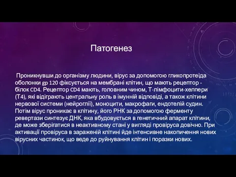 Патогенез Проникнувши до організму людини, вірус за допомогою гликопротеіда оболонки gp