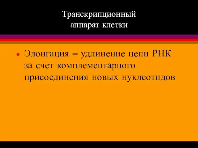 Транскрипционный аппарат клетки Элонгация – удлинение цепи РНК за счет комплементарного присоединения новых нуклеотидов