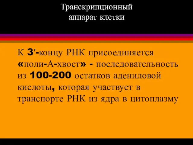 Транскрипционный аппарат клетки К 3′-концу РНК присоединяется «поли-А-хвост» - последовательность из