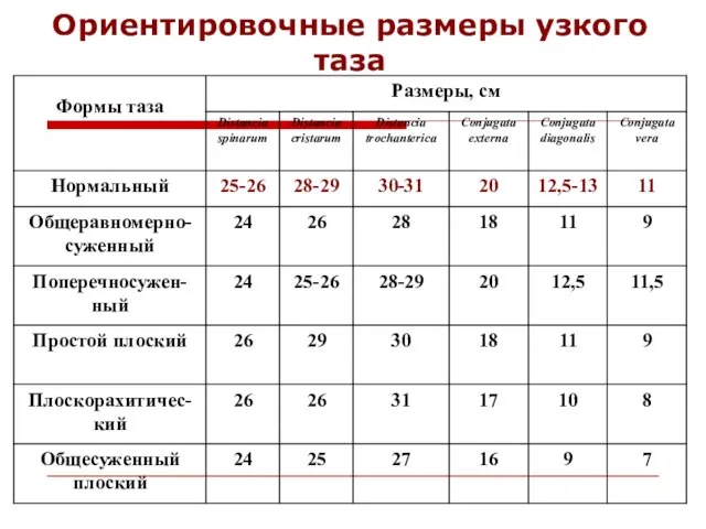 Ориентировочные размеры узкого таза