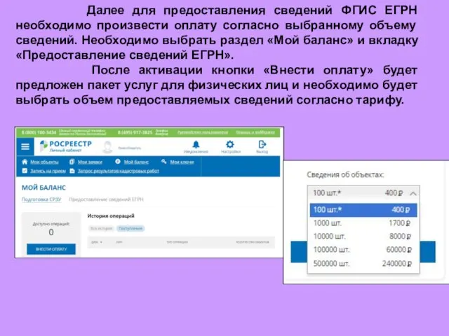 Далее для предоставления сведений ФГИС ЕГРН необходимо произвести оплату согласно выбранному