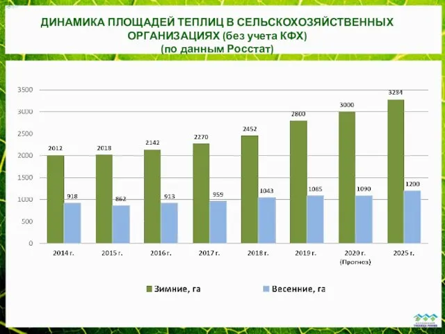 ДИНАМИКА ПЛОЩАДЕЙ ТЕПЛИЦ В СЕЛЬСКОХОЗЯЙСТВЕННЫХ ОРГАНИЗАЦИЯХ (без учета КФХ) (по данным Росстат)