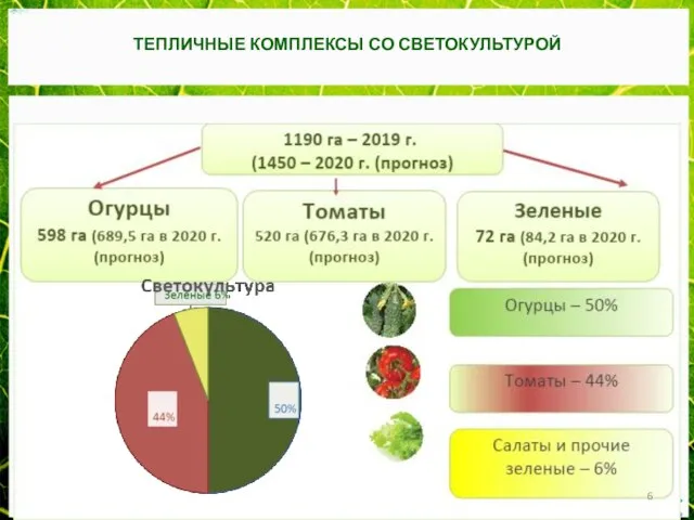 ТЕПЛИЧНЫЕ КОМПЛЕКСЫ СО СВЕТОКУЛЬТУРОЙ