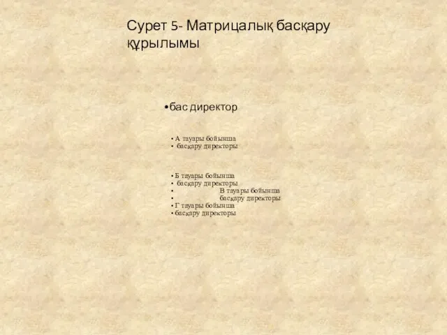 Сурет 5- Матрицалық басқару құрылымы бас директор А тауары бойынша басқару