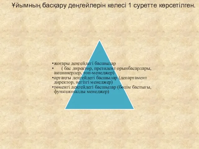 Ұйымның басқару деңгейлерін келесі 1 суретте көрсетілген. жоғары деңгейдегі басшылар (