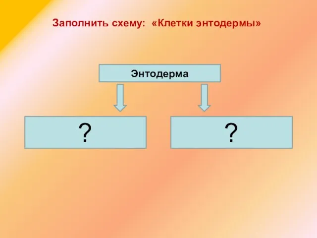 Энтодерма ? ? Заполнить схему: «Клетки энтодермы»