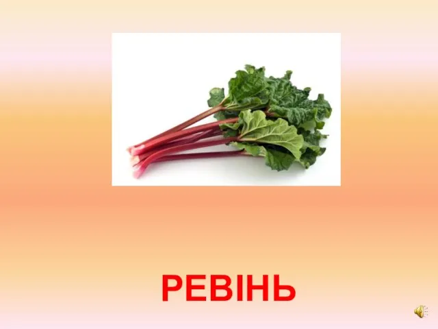 РЕВІНЬ