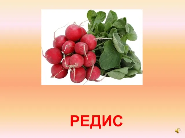 РЕДИС