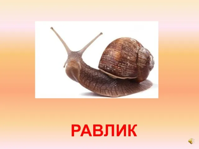 РАВЛИК