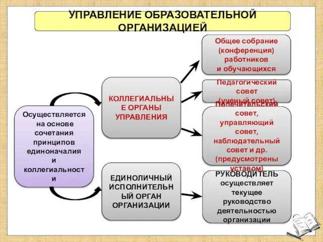 УПРАВЛЕНИЕ ОБРАЗОВАТЕЛЬНОЙ ОРГАНИЗАЦИЕЙ Осуществляется на основе сочетания принципов единоначалия и коллегиальности