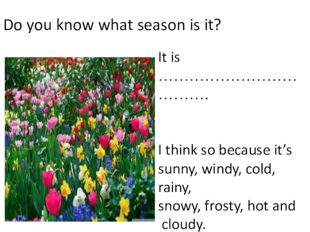 Do you know what season is it? It is ………………………………. I
