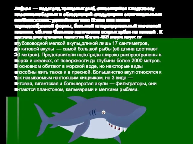 Аку́лы — надотряд хрящевых рыб, относящийся к подклассу пластиножаберных и обладающий