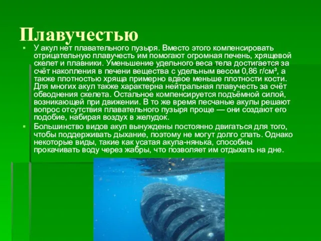 Плавучестью У акул нет плавательного пузыря. Вместо этого компенсировать отрицательную плавучесть